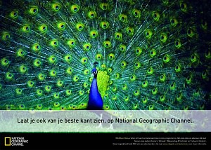 national-geographic-pauw-small-78003